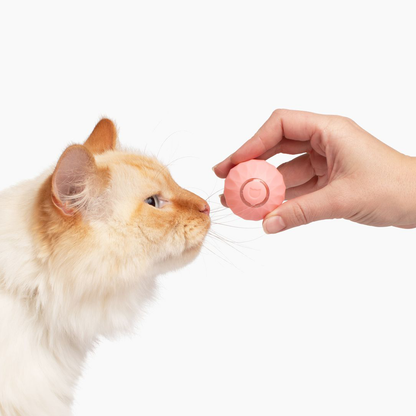 🐱 Power Ball 2.0 Interactive Cat Toy – 3 Modes, USB-C Rechargeable, 6H Playtime, Self-Play Fun ⚡