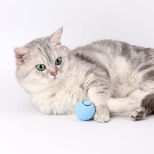 🐱 Power Ball 2.0 Interactive Cat Toy – 3 Modes, USB-C Rechargeable, 6H Playtime, Self-Play Fun ⚡